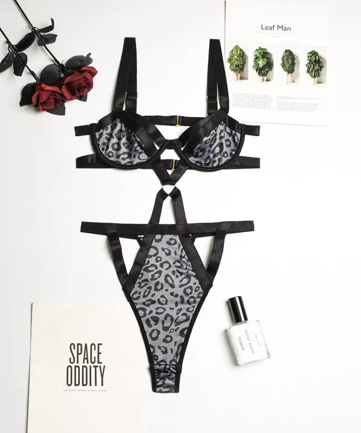 Leo at  Dolce Femme